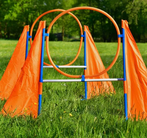 Agility-Profi-Hürden XXL für Hunde - Agility Training Set für große Hunde mit vielseitig einsetzbaren Hürden, ideal für Anfänger und Profis. Unterstütze Straßenhunde in Rumänien mit deinem Kauf!