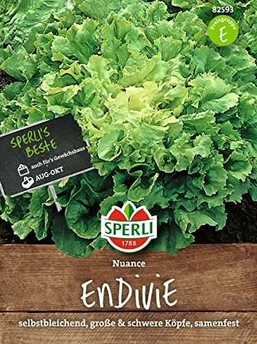 Sperli Premium Endiviensalat Samen | Endivien Samen | Große Schwere Köpfe | Endivien Salat | Schnellwachsende Endivie 82593