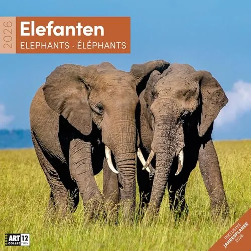 Elefanten Broschürenkalender 2026 - 30x30 - Art12 | Bildgewaltiger Tier-Kalender im schlanken Hochformat (aufgeklappt 30x60 cm) | Eintrage-Kalendarium