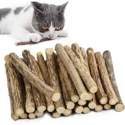 GingerUPer Matatabi Katzenminze Sticks für Zahnpflege, 30 Stück - Hochwertige Matatabi-Kausticks für Katzen, ideal zur spielerischen Zahnpflege. Reduziert Plaque und sorgt für langanhaltenden Spielspaß. Perfekt für gesunde Zähne und Zahnfleisch!