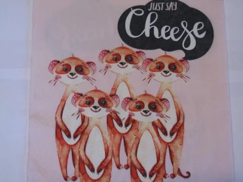 Servietten Napkins OVP  Just say Cheese 20
