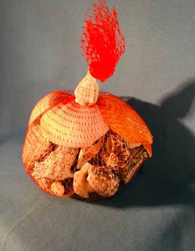 Muschelbeutel mit ca. 500 g echten Muscheln  verschiedener Arten zur Dekoration