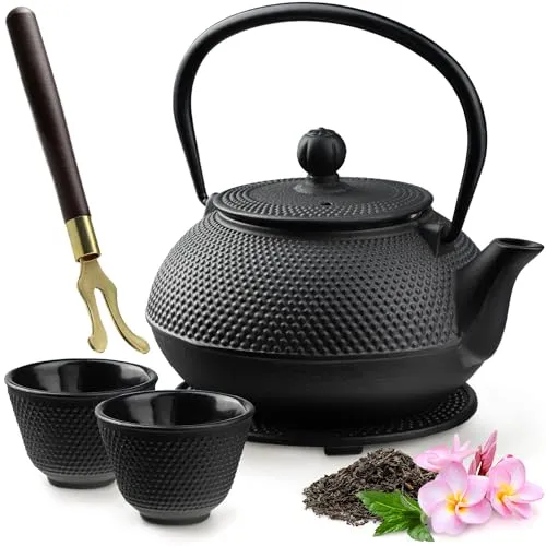 KADAX Japanische Teekanne, 850ml Gusseiserner Kessel, ⌀15cm Kanne mit Netzfilter und robustem Griff, Teeservice Japanischer Art, Traditionelle Eisen-Kanne (Schwarze)