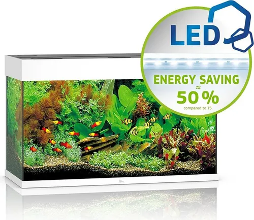 JUWEL Rio 125 LED Aquarium Set weiß - Komplettset mit energieeffizienter LED-Beleuchtung, ideal für Aquarienliebhaber