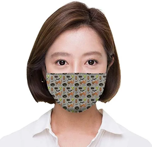 15: Warum Haben Schnecken Häuser?