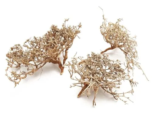NaDeco Dry-Busch-Zweige in Natur, 0,5kg Korallenzweige - Bastelzubehör aus echten, naturbelassenen Dry-Busch-Zweigen. Ideal für Dekoration, Modellbau und Terrarien. Langlebig und sicher für Tiere, perfekt für kreative Projekte.