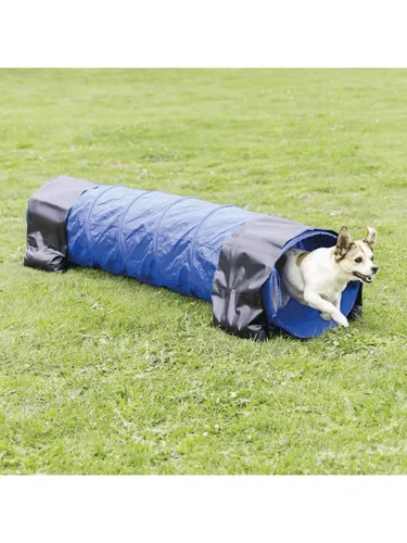 Fun Agility mini Tunnel 40 cm 2 m blau - ideal für kleine Hunde und Welpen, strapazierfähiges Polyester, inkl. Trainingsanleitung und Transporttasche