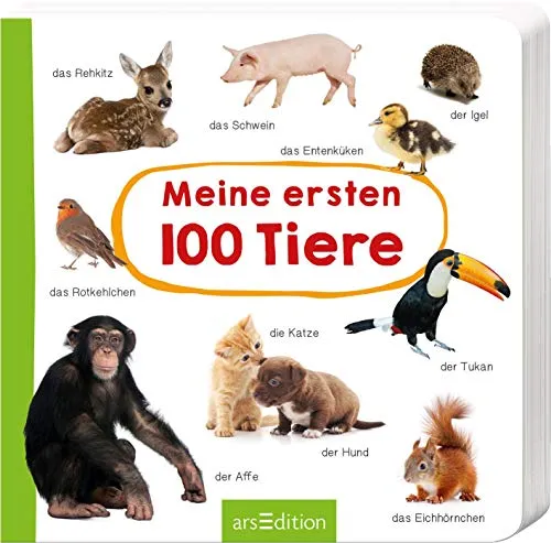 Meine ersten 100 Tiere: Foto-Wörterbuch | Stabiles Pappbilderbuch für die Sprachentwicklung für Kinder ab 1 Jahr