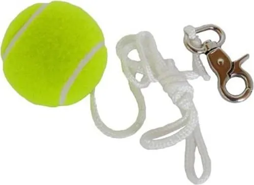 Best Sporting 64002 Ersatzball mit Karabiner für Tetherball von BEST Sporting