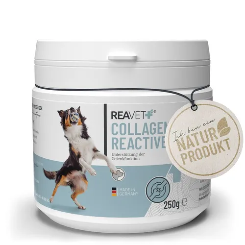 Produktbild Collagen Reactive 250g
