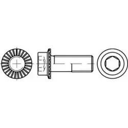 Zylinderkopf-Flanschschraube VG M5x10 Stahl 10.9 - Maschinenschrauben aus hochwertigem Stahl, ideal für sichere und langlebige Verbindungen mit Innensechskant-Antrieb.