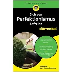 Sich von Perfektionismus befreien für Dummies