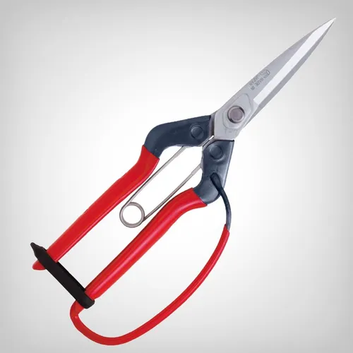 Chikamasa T-710GDX Verchromte Astschere