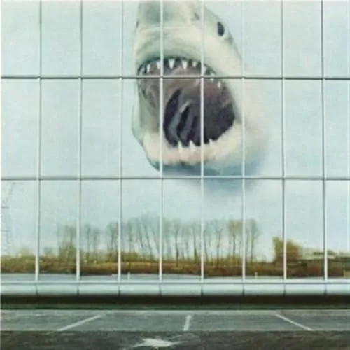 Wilderness Heart [Vinyl LP]