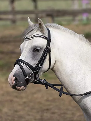 Busse Trense LITTLE - Hübsche Ledertrense für MiniShettys und Shettys, mit farbig unterlegtem Nasen- und Stirnriemen sowie bombiertem Nasenriemen für optimalen Tragekomfort.