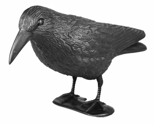 mgc24® Taubenschreck Rabe »Lummy« | Abwehr von Tauben, Möwen, Kleinvögeln