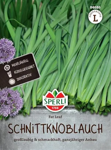 Sperli Schnittknoblauchsamen Fat Leaf 84686 - Mehrjährig - Kübelgeeignet - dekorativ - großlaubig - schmackhaft - ganzjährig - Saatgut, Kräutersamen