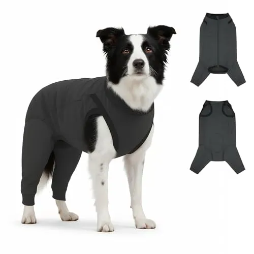 Hundebody nach OP
