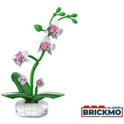 CaDA Orchidee C59028W