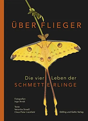 Überflieger. Die vier Leben der Schmetterlinge - Faszinierende Schmetterlingsbiologie - Freizeit, Haus & Garten - Entdecken Sie die faszinierenden Lebenszyklen von Schmetterlingen und lernen Sie mehr über ihre Bedeutung für die Natur.