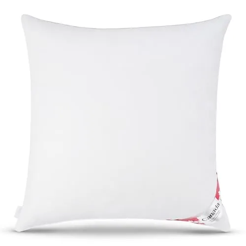 Kopfkissen Weiß von Bach's Bettenwelt