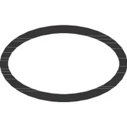 Hansgrohe O-Ring 16x2mm - Schwarz von Hansgrohe