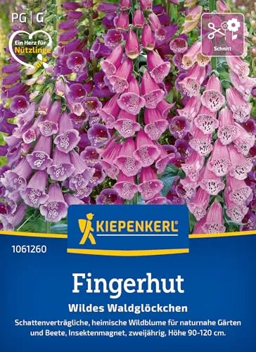 Kiepenkerl Fingerhutsamen Wildes Waldglöckchen 1061260