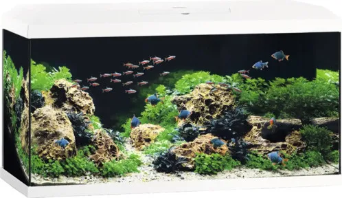 Aquarium JUWEL Primo 110 LED 2.0