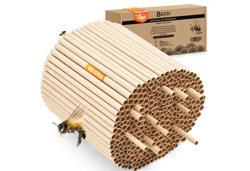 Schmetterlingshäuschen von BEESI