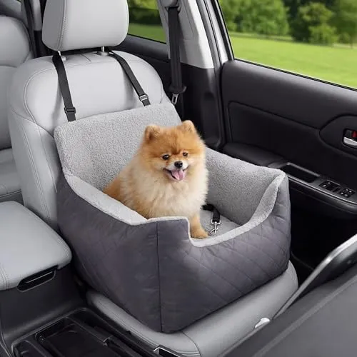 Lesure Hundesitz Auto Kleine Hunde