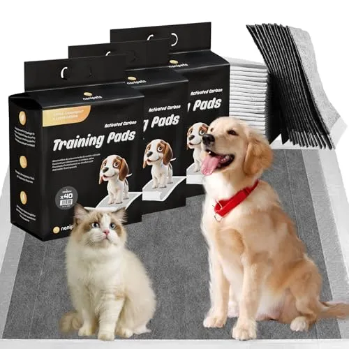 Nanipets® Trainingspad für Hunde – Superabsorbierendes & Auslaufsicheres Aktivkohle-Pad, 60 x 60 cm, 120 Stück - Unsere extra großen Trainingspads bieten eine super saugfähige 6-lagige Struktur für zuverlässigen Schutz. Ideal für saubere Böden und vielseitig einsetzbar – perfekt für Hunde und Welpen.