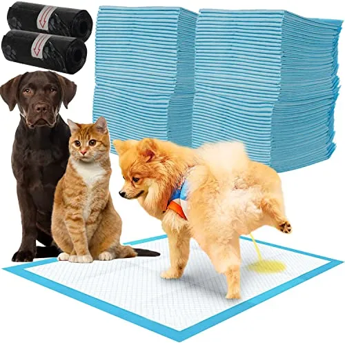 100x Welpenunterlagen XL für Hunde - Ideal für die Toilette - Welpenerziehung: Hochabsorbierende Unterlagen für eine saubere und stressfreie Stubenreinheit Ihres Welpen.