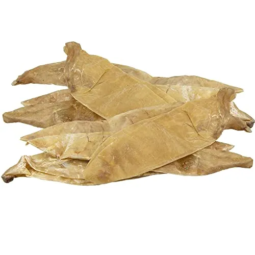 Schecker Kälberblasen