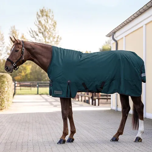 Waldhausen Outdoordecke Arctic High Neck 100 g - Petrolblau, 135 cm - Reit- & Pferdebedarf mit antibakteriellem Innenfutter und wasserdichtem, atmungsaktivem Material für optimalen Komfort im Freien.