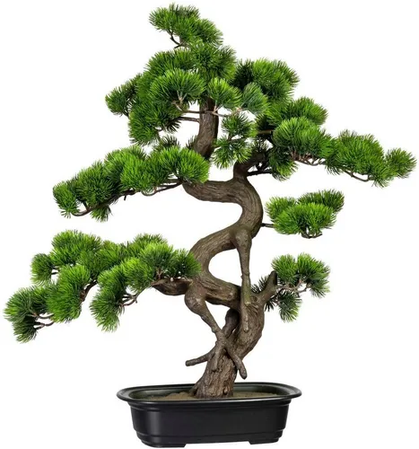Kunstbonsai Bonsai Kiefer Bonsai Kiefer, Creativ green, Höhe 65 cm