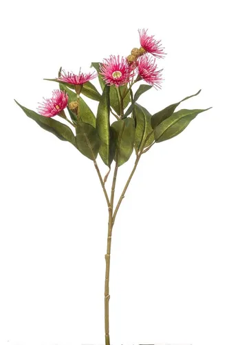 artplants Künstlicher Zweig Eukalyptus MEVARD mit Blüten, pink, 60cm