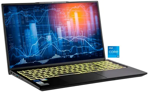 Business/Office I10-1415GE - Leistungsstarker i5 Laptop mit 17.3