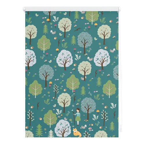 Lichtblick Rollo Klemmfix Leni von Roller