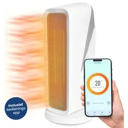 Gologi Heizlüfter mit Thermostat