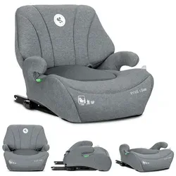 Lorelli Kindersitzerhöhung Pyxis Isofix 125-150 cm von Lorelli