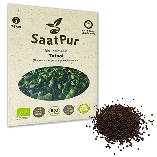 Tatsoi BIO Keimsprossen von SaatPur - Keimsaat für Sprossen, Microgreens - 20g