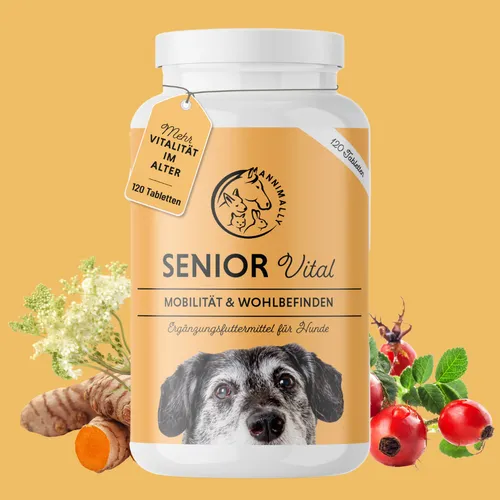 Senior Vital Tabletten Hund 120 Stück