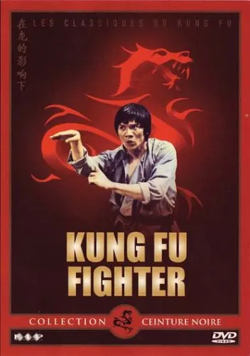 Kung Fu Fighter