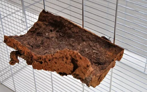 Ollesch Korksitzbrett für Kleintiere Extra Large - Ideal für Nager und Vögel, bietet Beschäftigung und einen wärmenden Ruheplatz