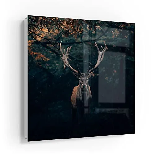 DEQORI Schlüsselkasten weiß | 30x30 cm | Motiv Elch im Teutoburger Wald | Glas & Metall Schlüssel-Box | Schlüsselschrank mit 50 Haken + 2 Magnete | Moderne Design Box magnetisch & beschreibbar