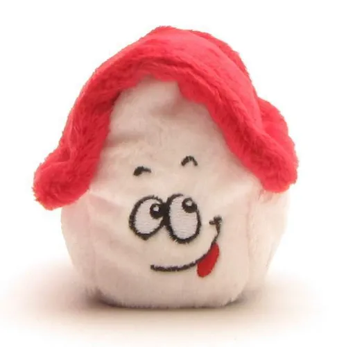 Schmoozies Haus rotes Dach I Displayreiniger I Mikrofasertuch