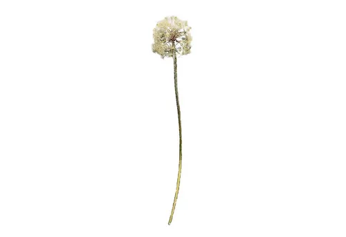 Kunstblume Kunstblume Pusteblume Flora Pusteblume, HTI-Living, Höhe 91 cm, Dekoblume
