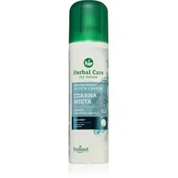 Produktbild Farmona Herbal Care Black Mint Deodorant Spray für Füße und Schuhe 150 ml