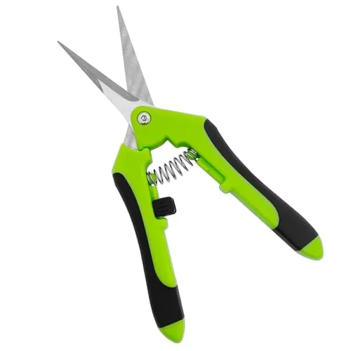 Skythrive Klein Gartenschere Astschere Bonsai Schere, Pruning Shears für Bonsai Pflanzen Blumen Ernte Obst Gemüse, Gartenwerkzeug für Gartenaufgaben (Grün)