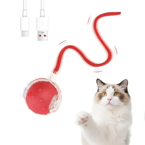 Interaktives Katzenball Spielzeug,Katzenspielzeug Elektrisch,360-Grad-Ball Automatischer Modellierung Katzenball mit Seil,Zwitschern,Smart Cat Toy Ball Rollender Ball,USB Wiederaufladbarer für Katze